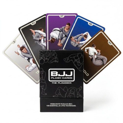 Bjj flashcards jiu jitsu - bjj,